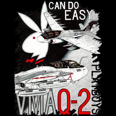 VMAQ-2 Playboys EA-6B