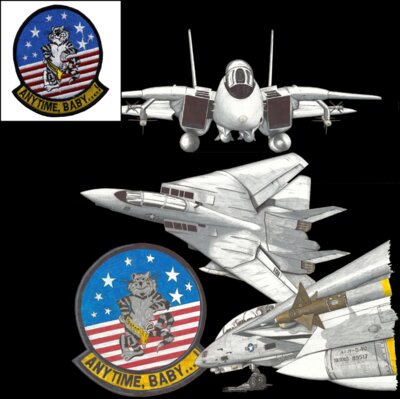 Tomcat LCFB
